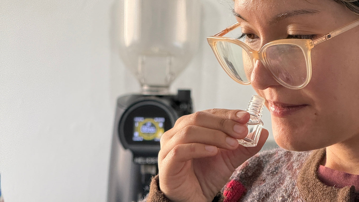 Curso Barista Full Day