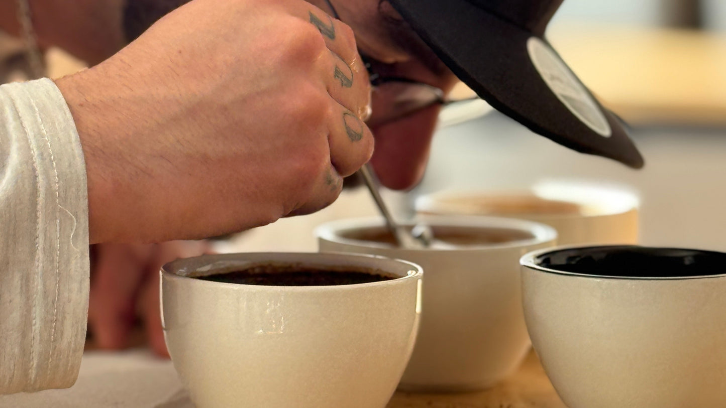 Curso Barista Intensivo