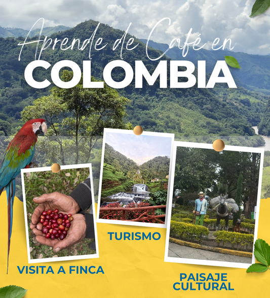 Viaje a Colombia