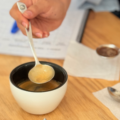 Curso Barista Full Day