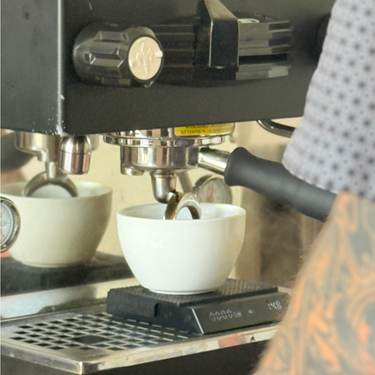 Curso Barista Full Day