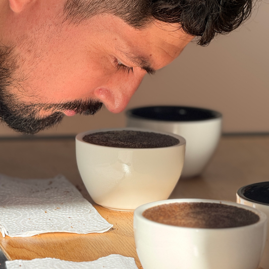 Curso Barista Intensivo