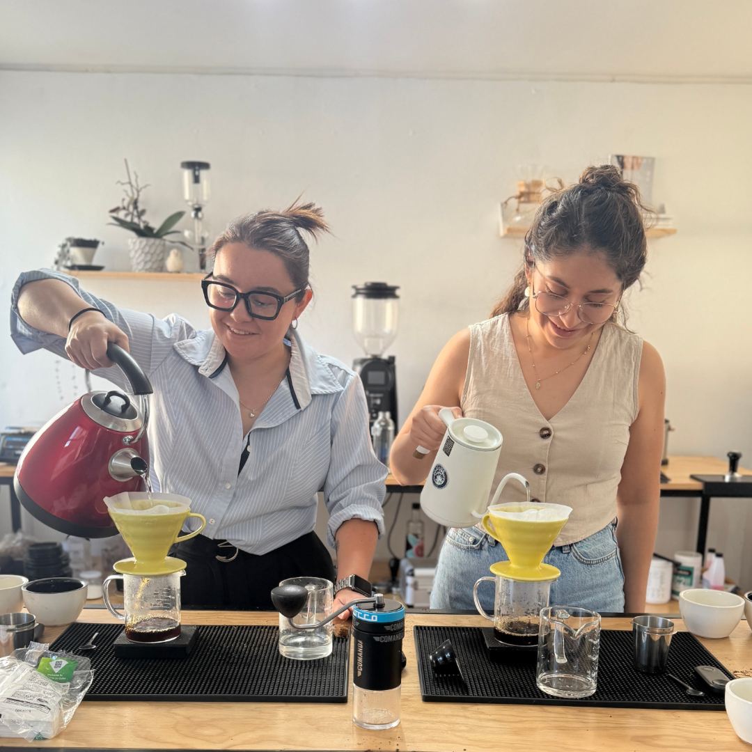 Curso Barista Intensivo